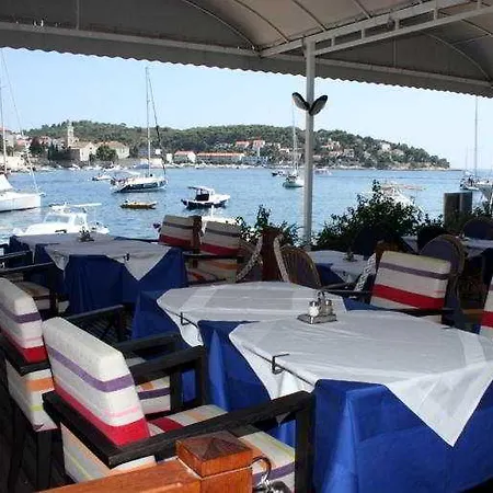 Delfin Hvar