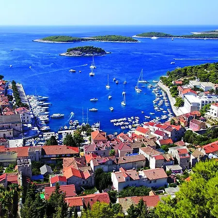 Delfin Hvar