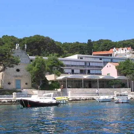 Delfin Hvar