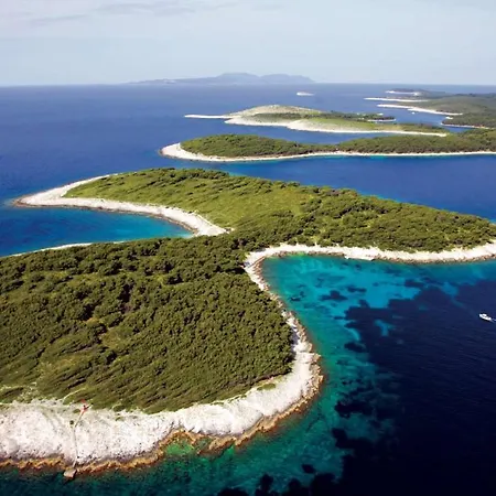 Delfin Hvar